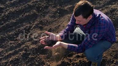农民取一个黑色肥沃土壤的样本。 农民的一小撮肥沃的土壤矗立在耕地上。 土壤
